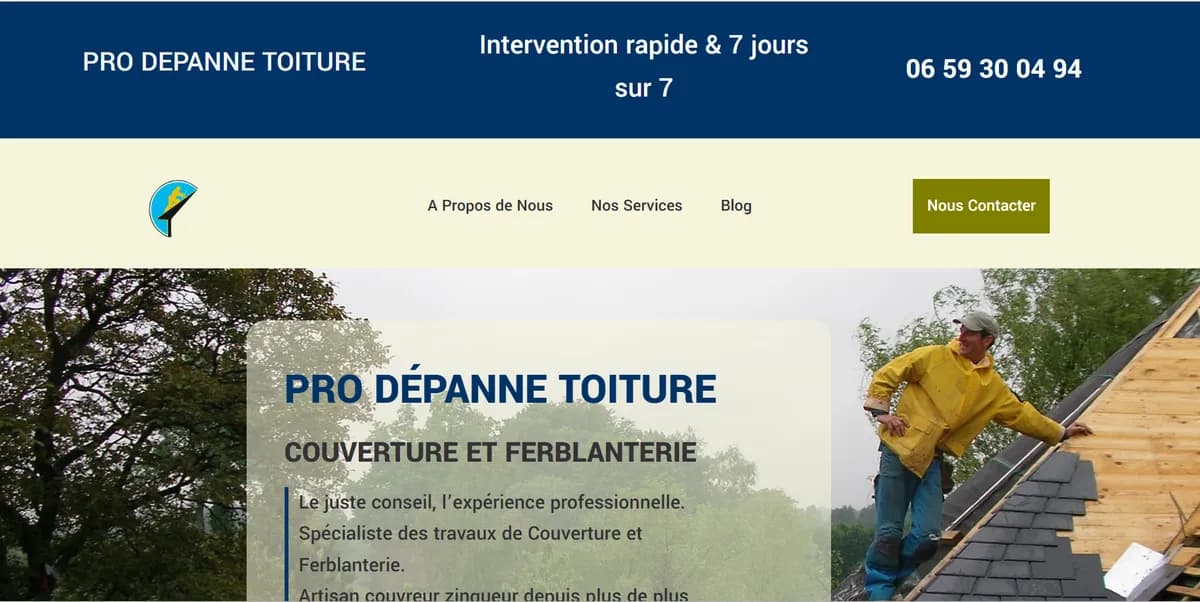 Aperçu du site Pro Dépanne Toiture